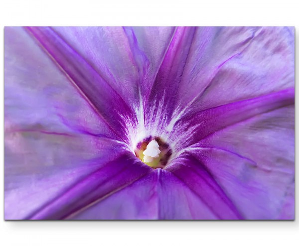 Frühling  Fotografie einer lila Blüte - Leinwandbild