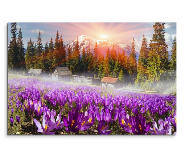 120x80cm Wandbild Ukraine Alpengipfel Bäume Blumen Morgensonne