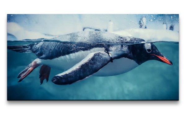 Leinwandbild 120x60cm Pinguin unter Wasser schönes Tier Fotokunst