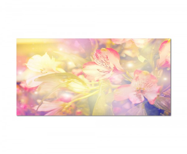 120x80cm Blüte Blume Hintergrund farbenfroh