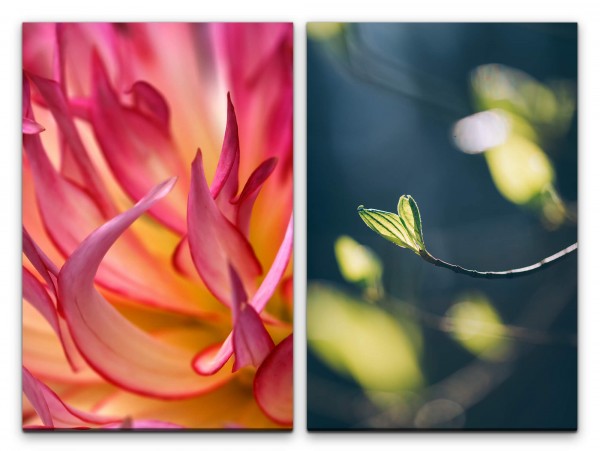 2 Bilder je 60x90cm Blüten Blumen junges Blatt Frisch Frühling Dekorativ Makrofotografie