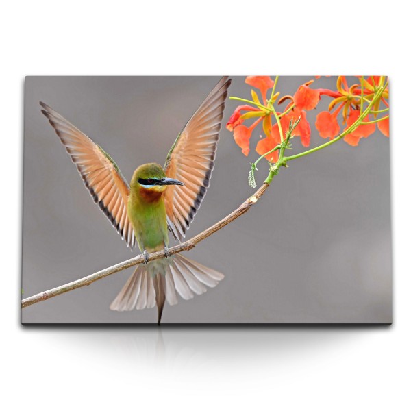 120x80cm Wandbild auf Leinwand Kolibri auf exotischer Blume Pflanze Tierfotografie