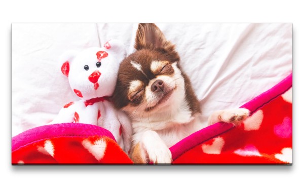 Leinwandbild 120x60cm Kleiner süßer Hund mit Kuscheltier Chihuahua Lustig