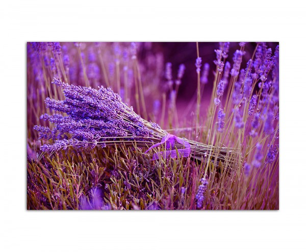 120x80cm Lavendel Strauß Blumen