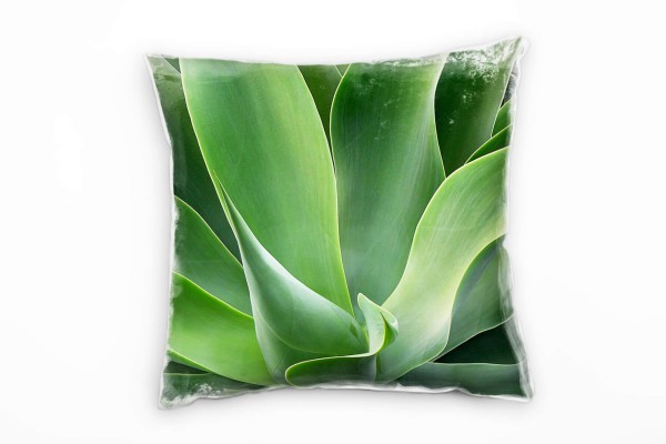 Natur, grün, Pflanze, Agave, Detailaufnahme Deko Kissen 40x40cm für Couch Sofa Lounge Zierkissen