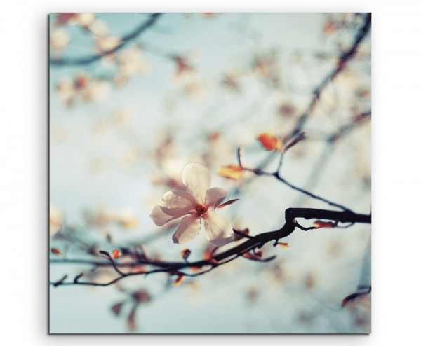 Naturfotografie – Kirschblüten vor blauem Himmel auf Leinwand
