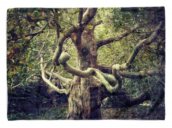 Handtuch Strandhandtuch Saunatuch Kuscheldecke mit Fotomotiv Großer Baum Dschun