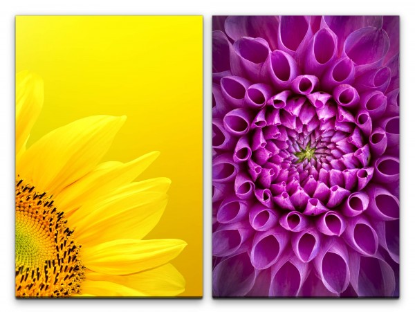 2 Bilder je 60x90cm Dahlie Sonnenblume Gelb Violett Lila Nahaufnahme Makrofotografie