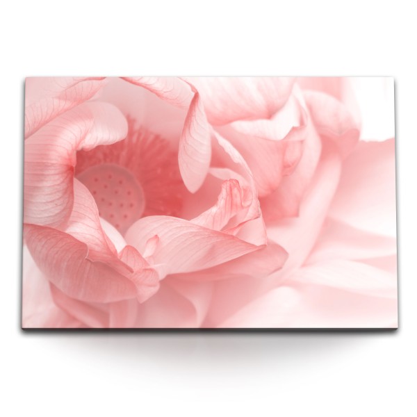 120x80cm Wandbild auf Leinwand Rosa Blüte Blume Fotokunst Hell Nahaufnahme