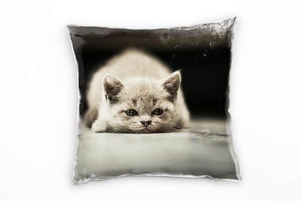 Tiere, grau, braun, liegende Katze Deko Kissen 40x40cm für Couch Sofa Lounge Zierkissen