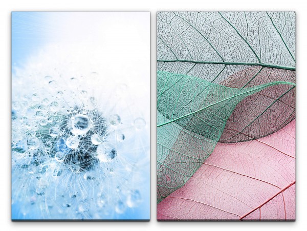 2 Bilder je 60x90cm Pusteblume Regentropfen Hellblau Blätter Blattadern Dekorativ Fotokunst
