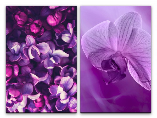2 Bilder je 60x90cm Blumen Blüten Duftend Sommer Orchidee Dekorativ Feminin