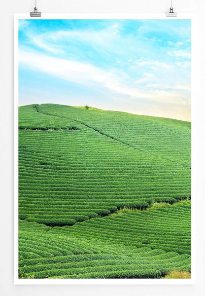 Landschaftsfotografie 60x90cm Poster Moc Chau Teeberg Vietnam
