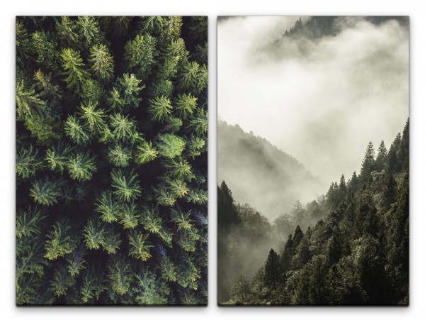 2 Bilder je 60x90cm Tannenwald Tannen Vogelperspektive Nebel Wolken Natur Eintracht