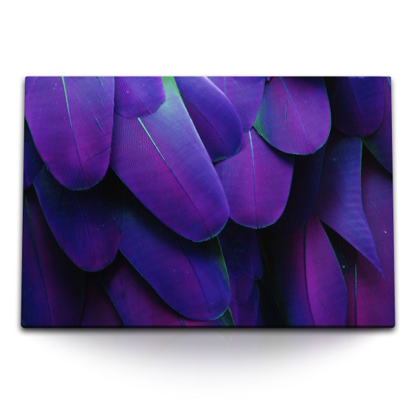 120x80cm Wandbild auf Leinwand Fotokunst Makrofotografie Federn Violett
