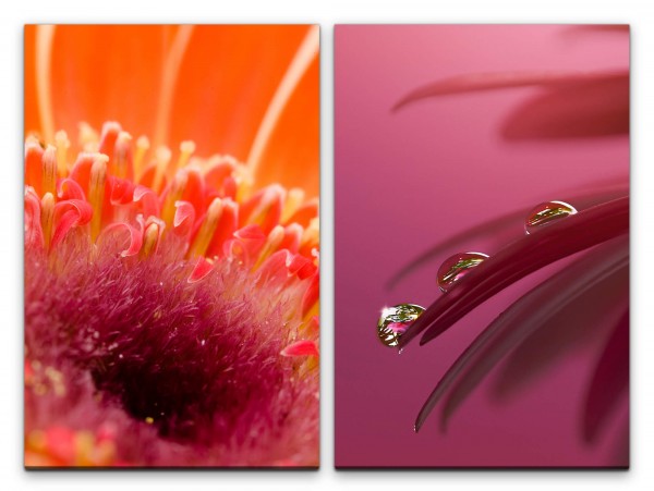 2 Bilder je 60x90cm Sommerblumen Blüte Rot Romantisch Wassertropfen Sanftmut Makrofotografie