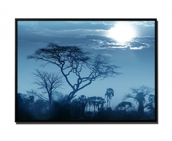 105x75cm Leinwandbild Petrol Sonnenuntergang Afrika Baum