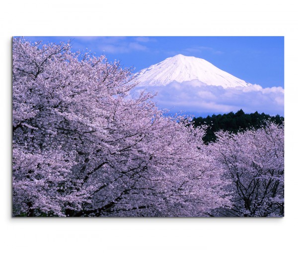 120x80cm Wandbild Fuji Berggipfel Schnee Kirschbäume