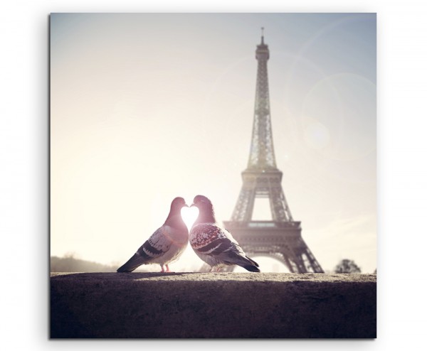 Fotografie  Turteltauben vor dem Eiffelturm Paris auf Leinwand exklusives Wandbild moderne Fotograf