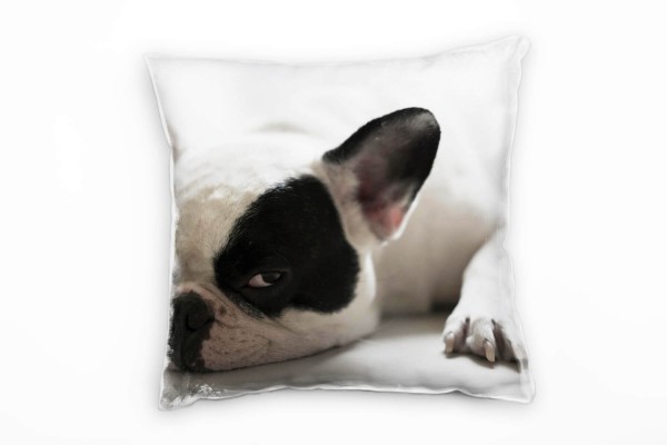 Tiere, französische Bulldogge, weiß, schwarz Deko Kissen 40x40cm für Couch Sofa Lounge Zierkissen