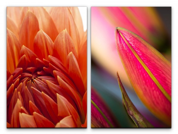 2 Bilder je 60x90cm Dahlie rote Blume Sommer Sonne Duftend Frisch Makrofotografie
