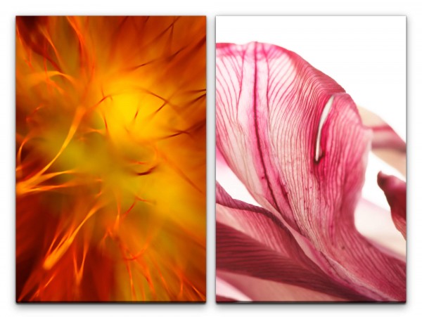 2 Bilder je 60x90cm Orange Rosa Blüten Nahaufnahme Makro Blumen Orchidee