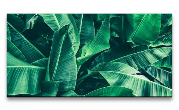Leinwandbild 120x60cm Tropische Pflanze Grün Blätter Dekorativ Exotisch