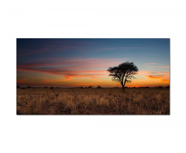120x60cm Wüste Afrika Baum Gras Sonnenuntergang