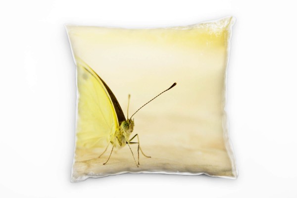Tiere, Macro, gelb, Schmetterling Deko Kissen 40x40cm für Couch Sofa Lounge Zierkissen