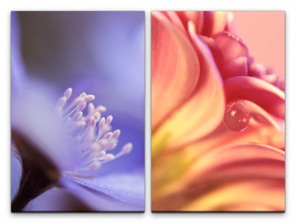 2 Bilder je 60x90cm Blumen Blüten Wassertropfen Sanft Weich Zart Beruhigend