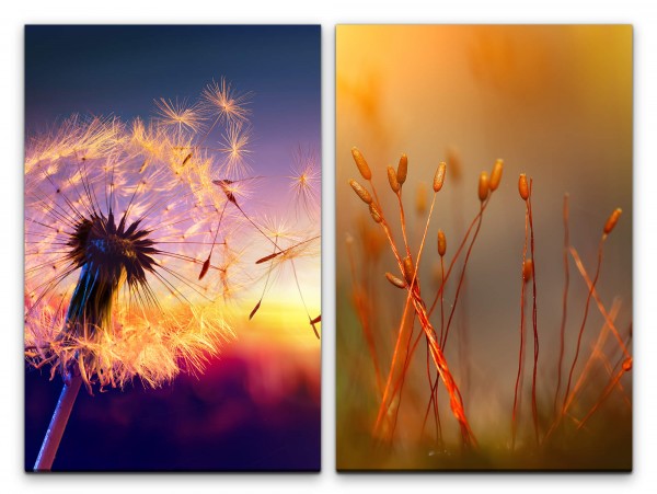 2 Bilder je 60x90cm Pusteblume Sommer rote Knospen Warm Dekorativ Sanft Sonnenuntergang