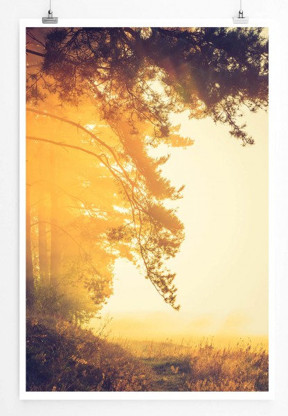 Landschaftsfotografie 60x90cm Poster Nebliger Morgen auf einer Wiese