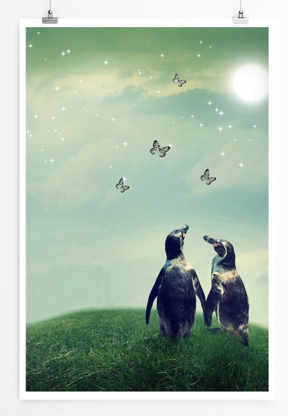90x60cm Poster Fotografie Zwei Pinguine im Sonnenschein