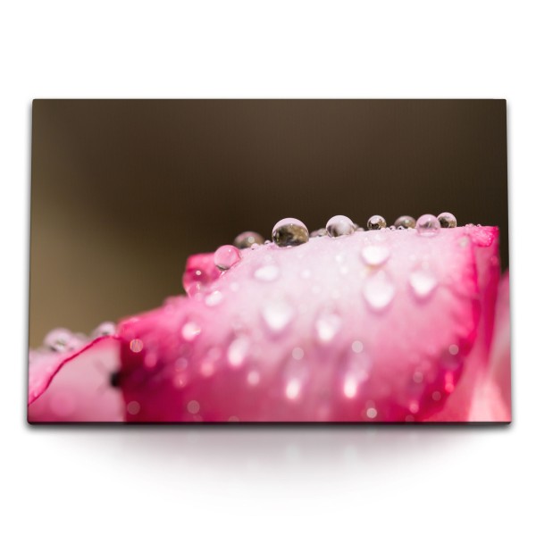 120x80cm Wandbild auf Leinwand Makrofotografie Rosa Blüte Wassertropfen