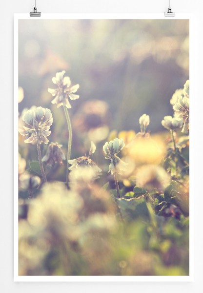 90x60cm Poster Naturfotografie Weiße Retro Blumen