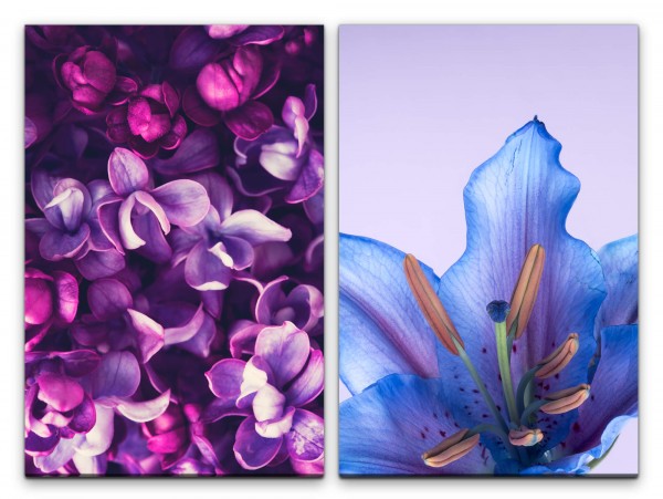 2 Bilder je 60x90cm Orchideen Blüten Sommer Duftend Dekorativ Makrofotografie Feminin