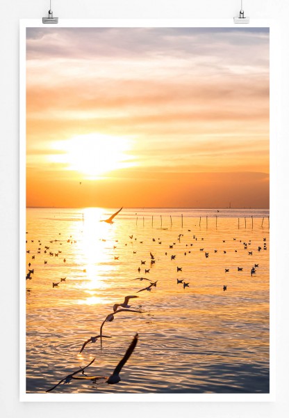 Landschaftsfotografie  Möwen am Meer bei Sonnenuntergang 60x90cm Poster