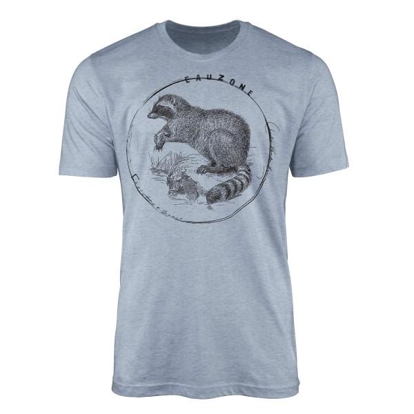Evolution Herren T-Shirt Waschbär