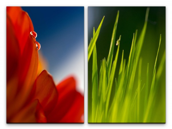 2 Bilder je 60x90cm Flora rote Blume Gras Grashalme Erfrischend Sanft Zart