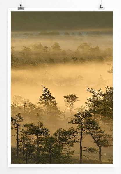 Landschaftsfotografie  Goldener Waldmorgen bei Sonnenaufgang 60x90cm Poster