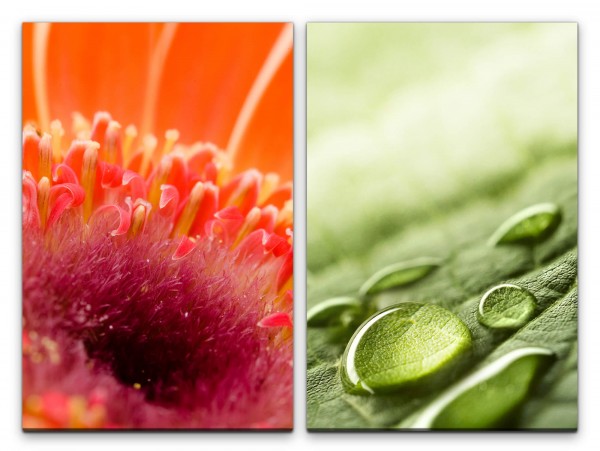 2 Bilder je 60x90cm Wassertropfen Blüte Blattgrün Regentropfen Dekorativ Rot Makrofotografie