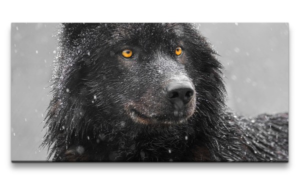 Leinwandbild 120x60cm Schwarzer Wolf mystische Augen Schnee Winter Wildnis