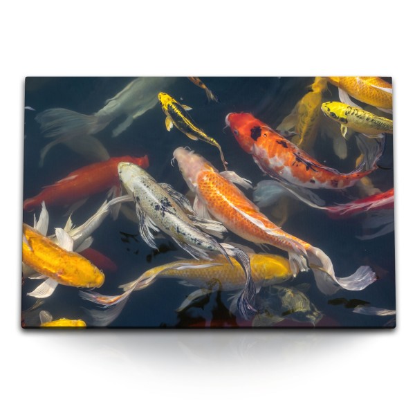 120x80cm Wandbild auf Leinwand Koi Fisch Koiteich Zuchtkarpfen Japan Teich Farbenfroh