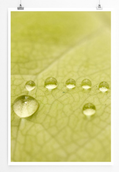60x90cm Naturfotografie Poster Grünes Blatt mit Makro Wassertropfen