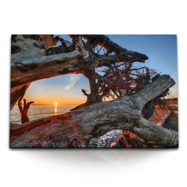 120x80cm Wandbild auf Leinwand Altes Treibholz Sonnenuntergang Meer Strand Baumstamm