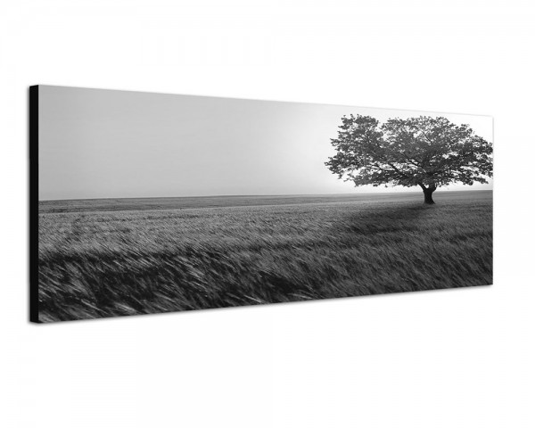 150x50cm Landschaft Wiese Baum Licht