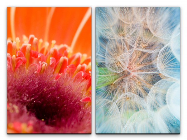 2 Bilder je 60x90cm Rote Blume Pusteblume Nektar Leicht Sommer Dekorativ Makrofotografie