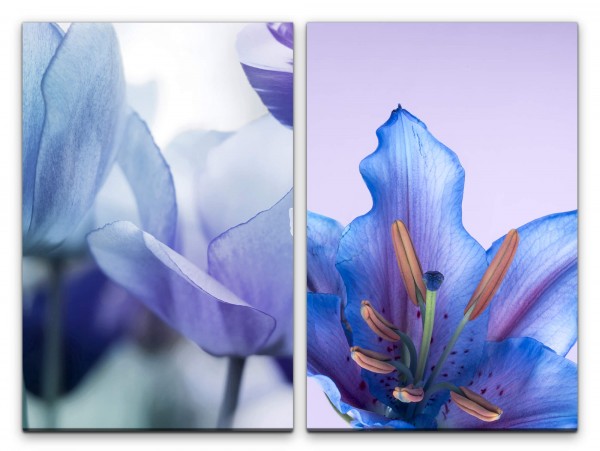 2 Bilder je 60x90cm Tulpen Blumen Sommerblüten Blau Sanft Zart Dekorativ