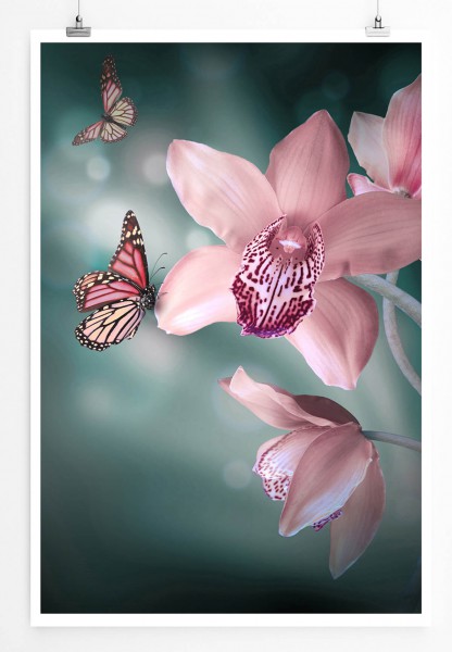 60x90cm Naturfotografie Poster Rosa Orchideen mit rosa Schmetterlingen