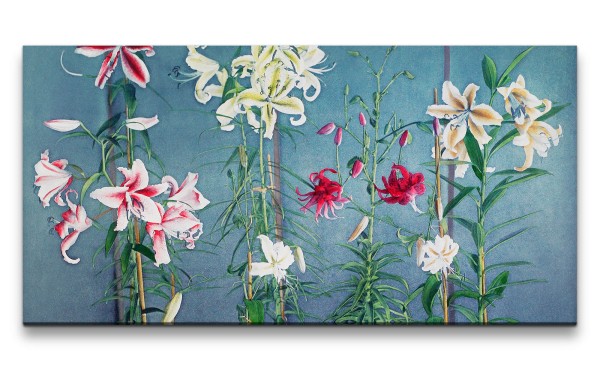 Remaster 120x60cm Ogawa Kazumasa berühmte Fotografie Blumen Blüten Kunstvoll